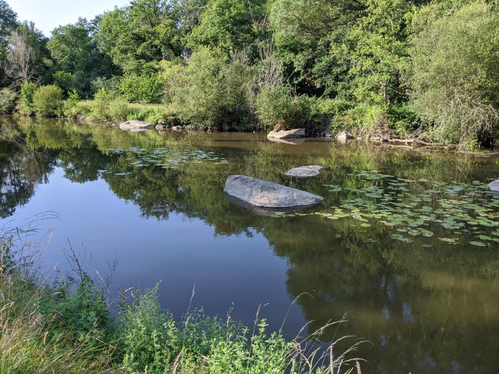 Le Moulin Du Fresne, Chambres D'Hotes Gourgé Εξωτερικό φωτογραφία